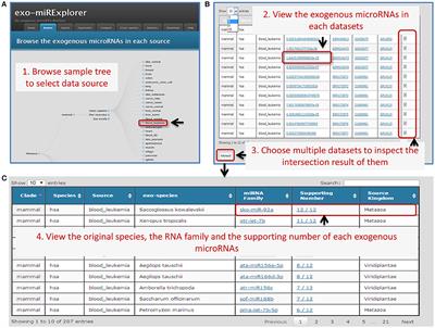 Exo-miRExplorer: A Comprehensive Resource for Exploring and Comparatively Analyzing Exogenous MicroRNAs